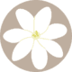 store_logo
